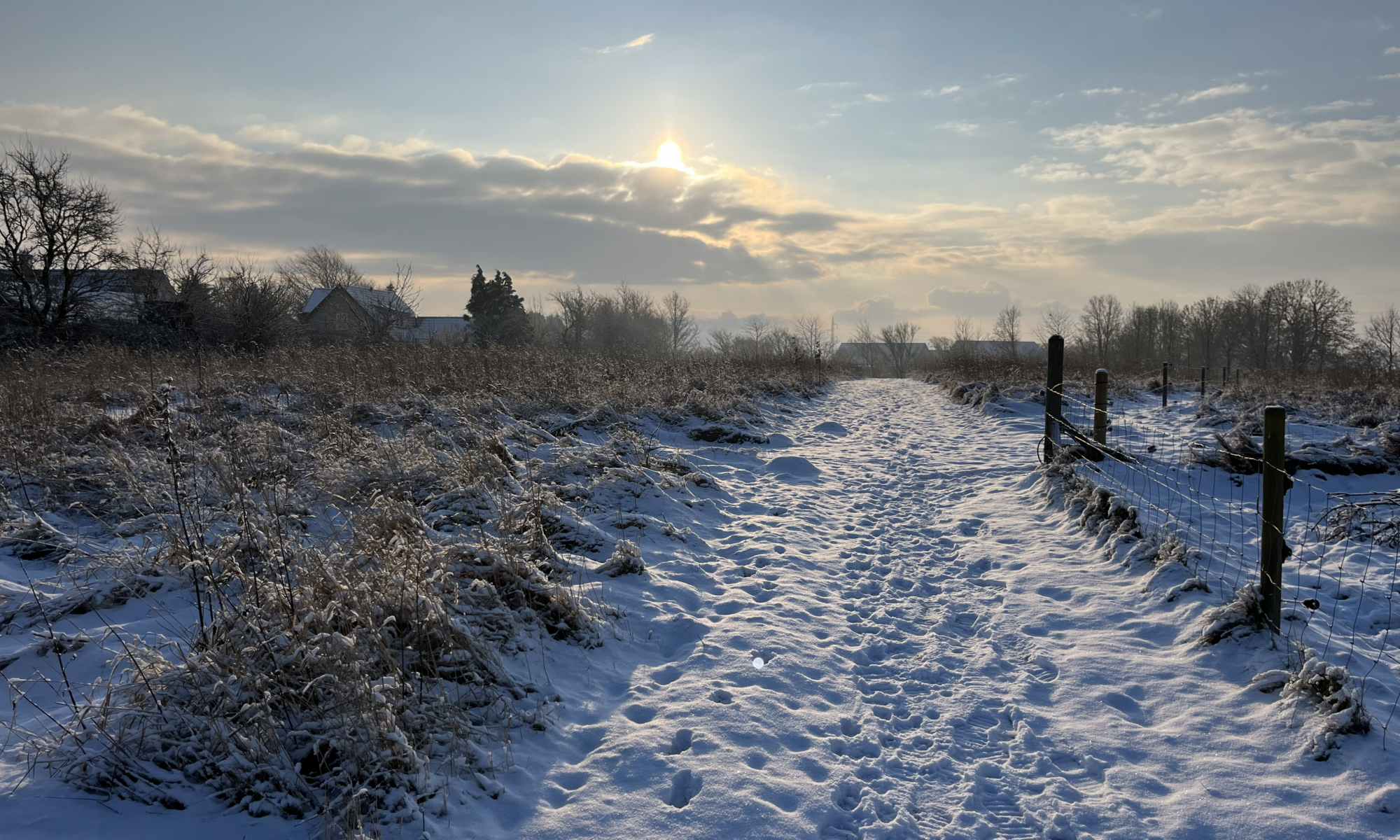 sne, januar, gården på bakken